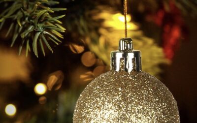 FELICES FIESTAS